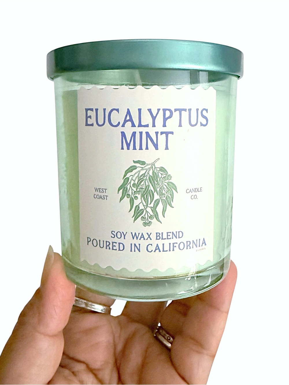 Leoben Company Eucalyptus Mint Soy Scented Candle in Light Green